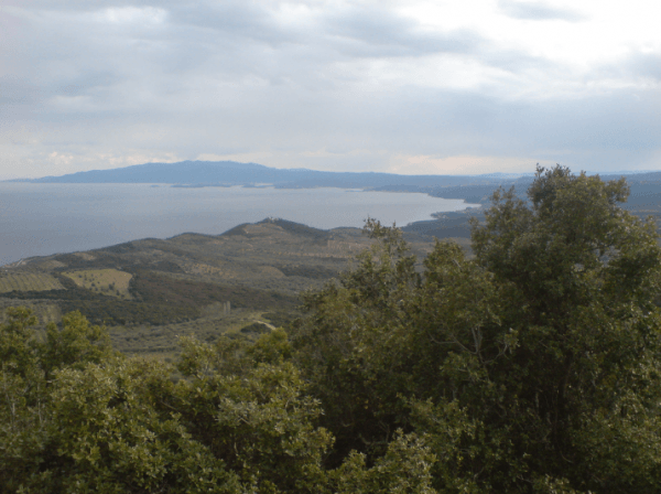 Reaching at Metagitsi